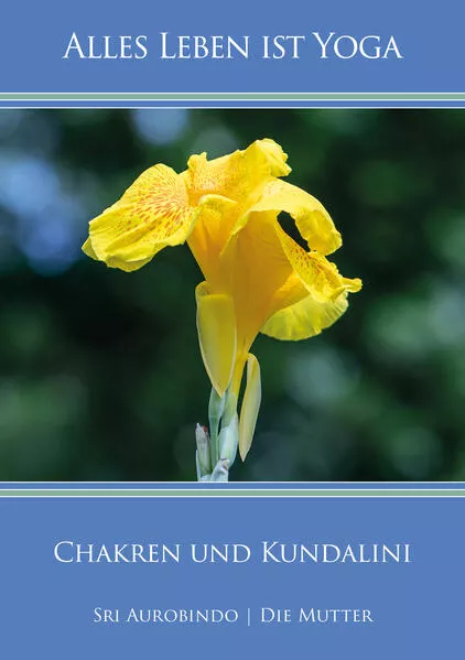 Cover: Chakren und Kundalini