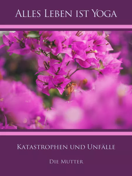 Cover: Katastrophen und Unfälle