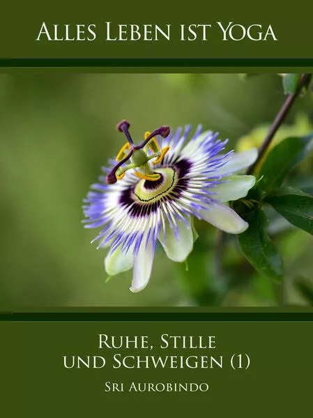 Cover: Ruhe, Stille und Schweigen (1)