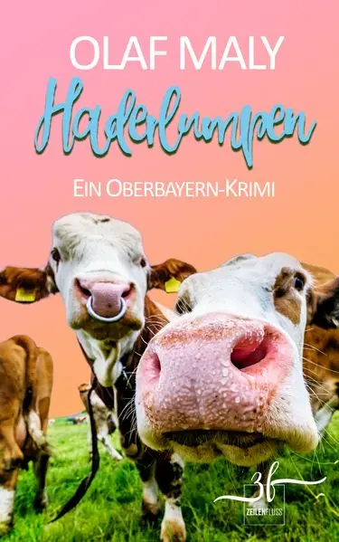 Cover: Haderlumpen