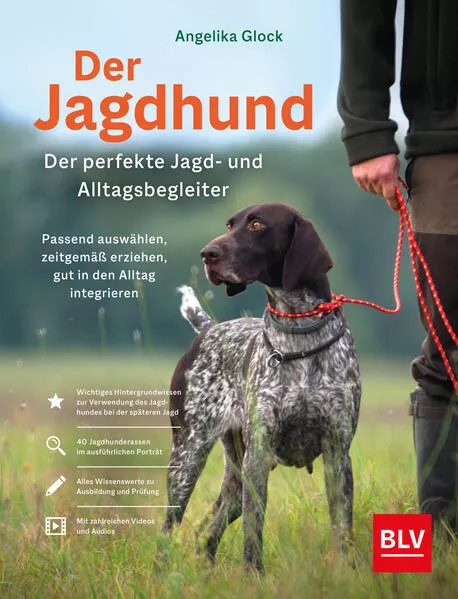 Der Jagdhund – perfekter Jagd- und Alltagsbegleiter