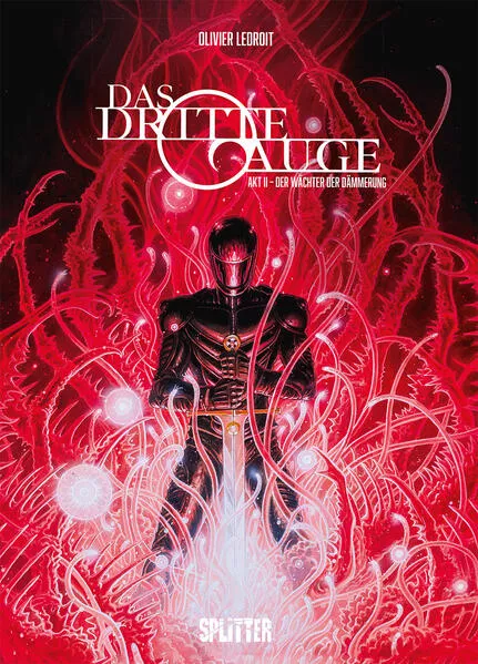 Cover: Das dritte Auge. Band 2