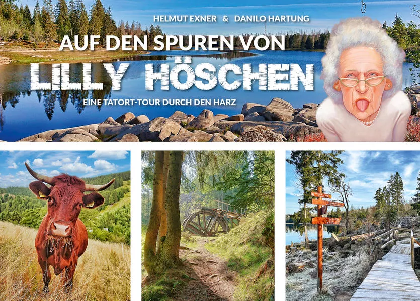 Cover: Auf den Spuren von Lilly Höschen