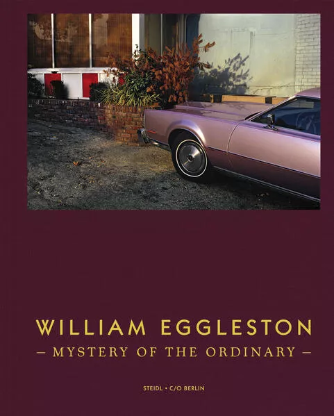 Cover: Mystery of the Ordinary