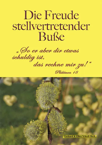 Cover: Die Freude stellvertretender Buße