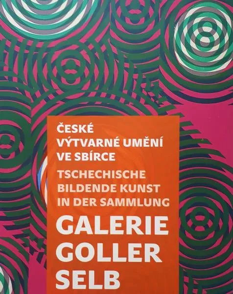 Cover: ČESKÉ VÝTARNE UMĚÍ VE SBÍRCE GALERIE GOLLER SELB