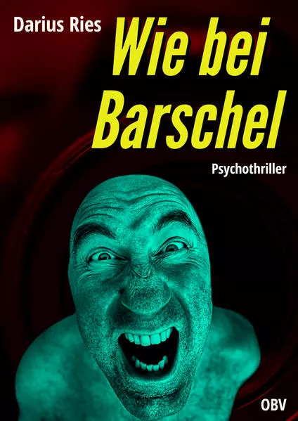 Cover: Wie bei Barschel
