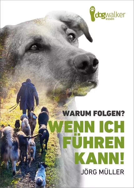 Cover: Warum folgen, wenn ich führen kann