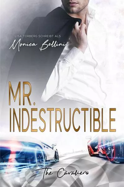 Cover: Mr. Indestructible