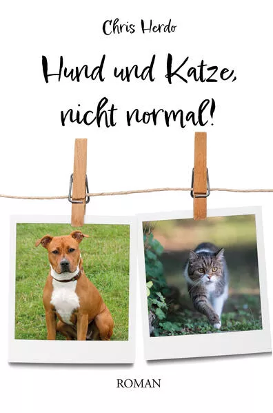 Hund und Katze, nicht normal!</a>