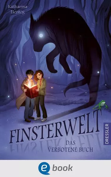 Cover: Finsterwelt 1. Das verbotene Buch