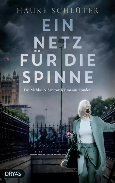 Cover: Ein Netz für die Spinne