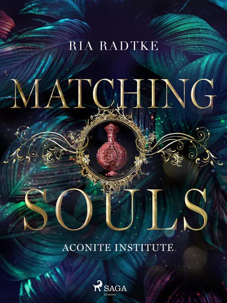 Cover: Matching Souls