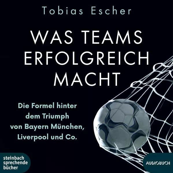 Was Teams erfolgreich macht</a>