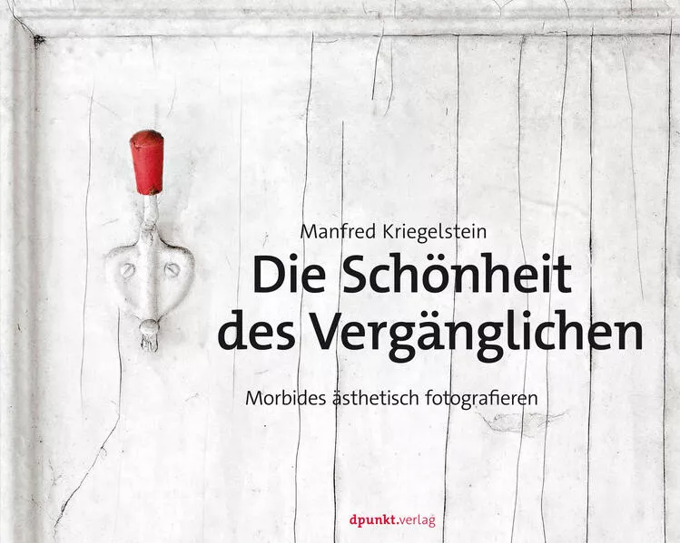 Cover: Die Schönheit des Vergänglichen