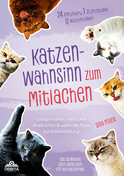 Katzen-Wahnsinn zum Mitlachen