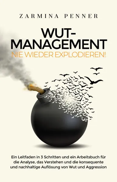 Wut Management - Nie wieder explodieren!