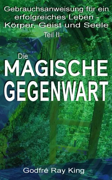 Die Magische Gegenwart