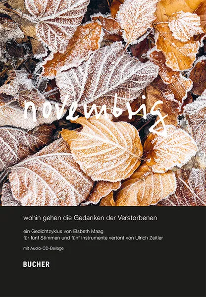 Cover: novembrig