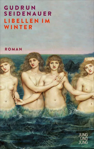 Cover: Libellen im Winter