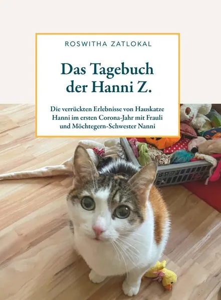 Das Tagebuch der Hanni Z.