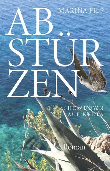 Cover: Abstürzen