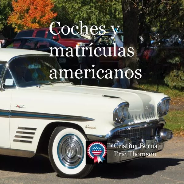 Coches y matrículas americanos</a>