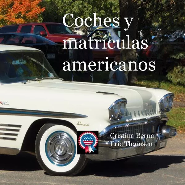 Coches y matrículas americanos</a>