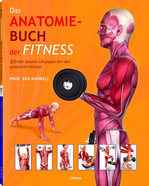 Das Anatomie-Buch der Fitness</a>