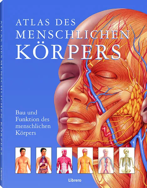 Cover: Atlas des menschlichen Körpers