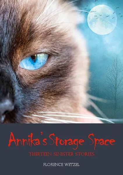 Cover: Annika's Storage Space