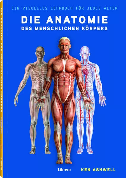 Cover: Die Anatomie des Menschlichen Körpers
