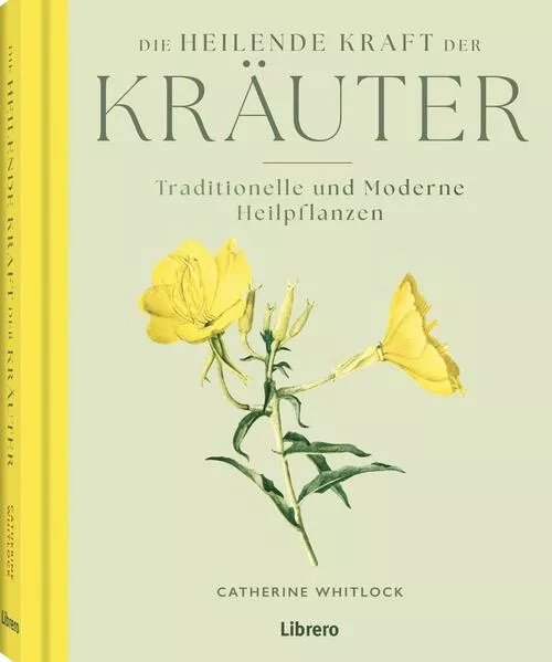 Die heilende Kraft der Kräuter