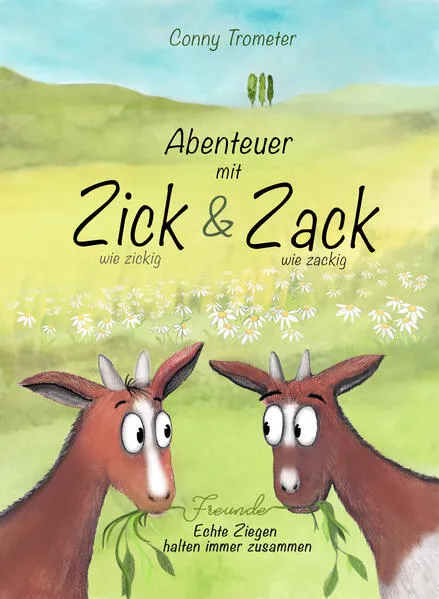 Cover: Abenteuer mit Zick & Zack