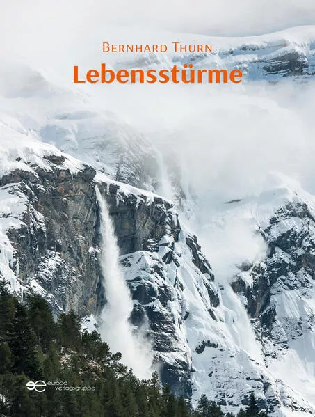 Cover: LEBENSSTÜRME