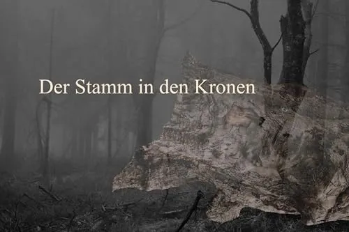 Der Stamm in den Kronen