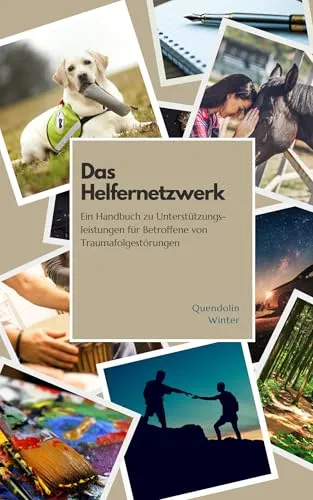 Das Helfernetzwerk: Ein Handbuch zu Unterstützungsleistungen für Betroffene von Traumafolgestörungen