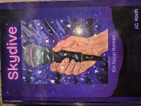 Cover: Skydive ein kpop Roman