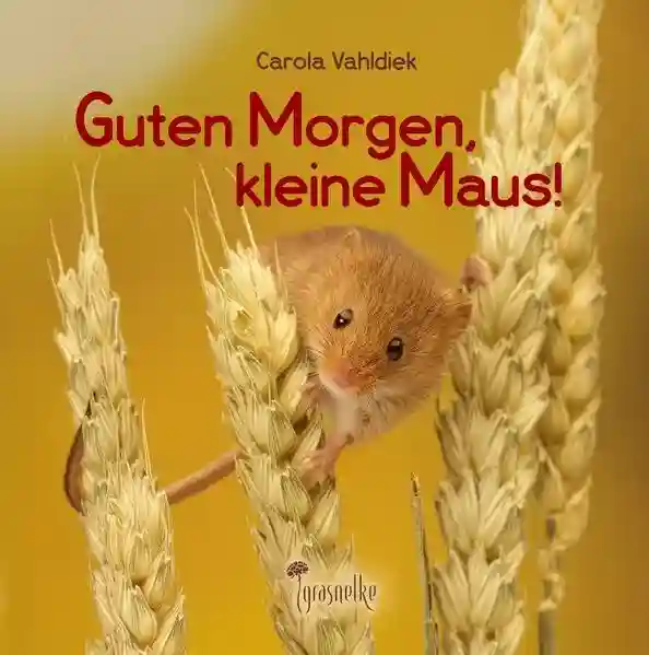 Reihe: Märchen von der kleinen Maus